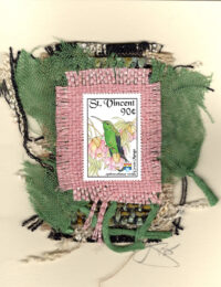 Green Mango Hummingbird (St. Vincent) Card