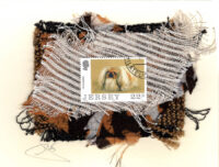 Pekinese (Jersey) Dog Card