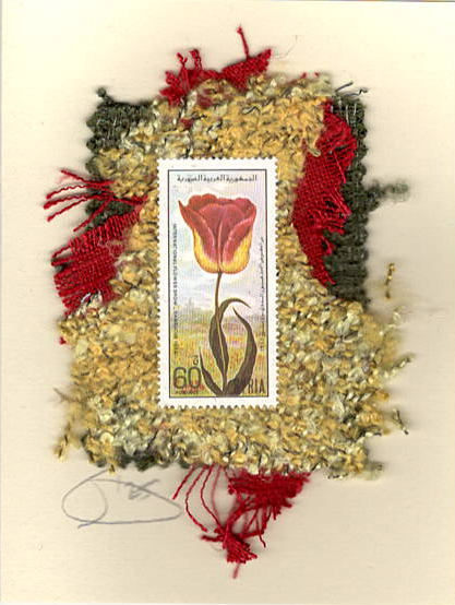Red & Yellow Tulip (Syria) Card