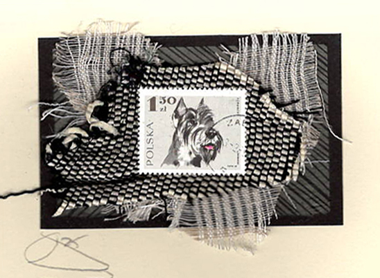 Schnauzer (Bulgaria) Dog Card