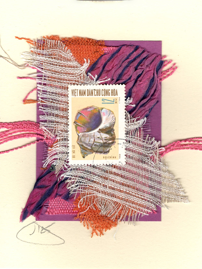 Seashell (Vietnam) Card