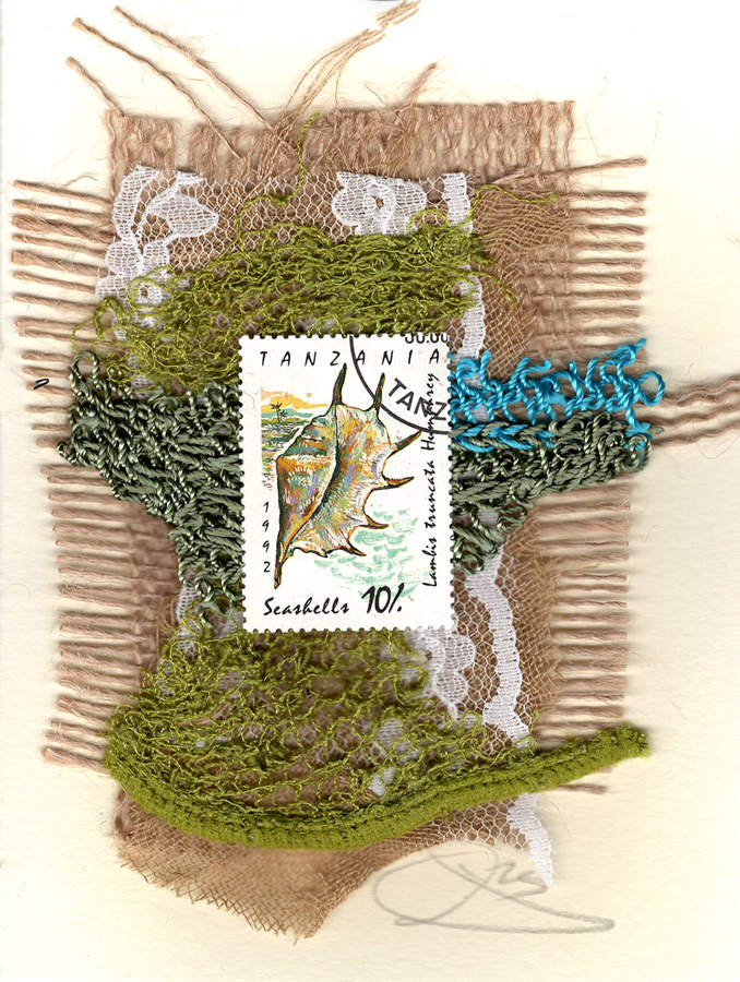 Multicolor Spiny Seashell (Tanzania) Card