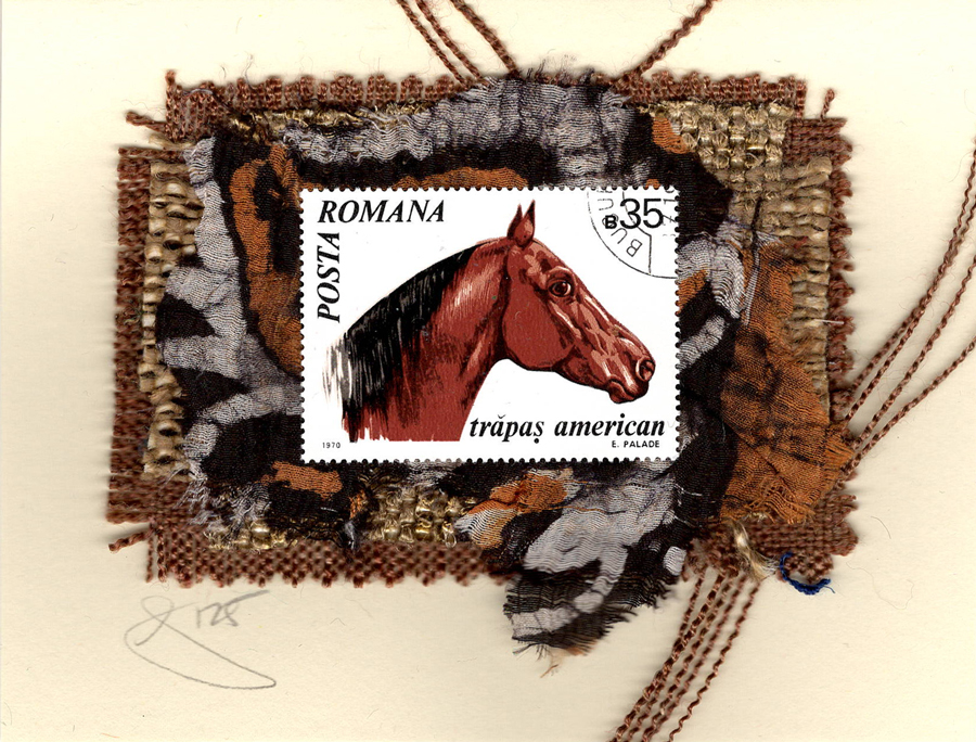 Trapas American Horse (Romania) Card