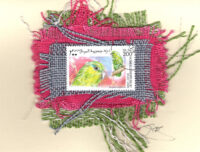 Two Green Parakeets (Somali) Card