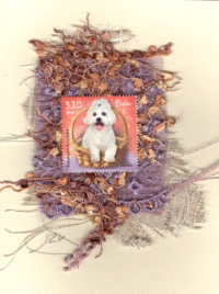 Bichon Frise (Hrvatksa) Dog Card