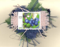 Blueberries (St. Pierre) Card