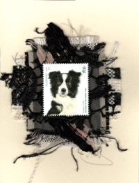 Border Collie (Guernsey) Dog Card