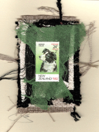 Border Collie (New Zealand) Dog Card