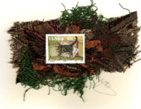 Brown & Black Striped Tabby Cat (Venda) Card