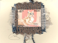 Burmese Crema Cat (Nicaragua) Card