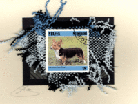 Corgi (Scotland) Dog Card