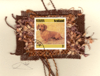 Dachsund (Scotland) Dog Card