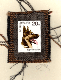 German Shepherd (Romania) Card