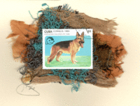 German Shepherd (Cuba) Card