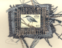 Green Heron (Maldives) Card