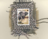 Grey Elephant (Cuba) Card