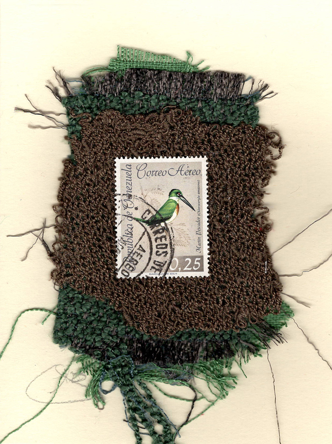 Martin Pescador Kingfisher (Cuba) Bird Card