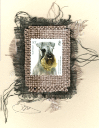 Miniature Schnauzer (Gurnsey) Card