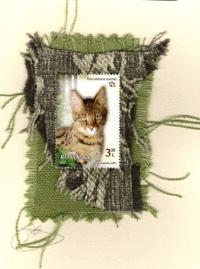 Striped Cat with Green Eyes (Romania) Card