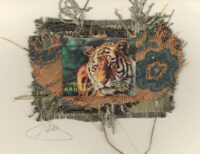 Tiger (Bhutan) Card