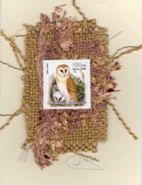 Barn Owl (Rep de Guinee) Card