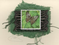 Brown Butterfly with Green (Cuba) Card