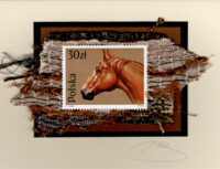 Chestnut Brown Horse (Romania) Card
