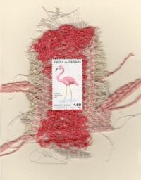 Pink Flamingo (Mexico) Card