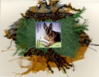 German Shepherd (Croatia) Card