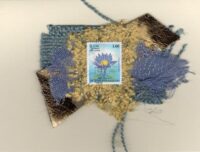 Purple Lotus Flower (Sri Lanka) Card