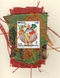 Fruits & Vegetables (Mexico) Card