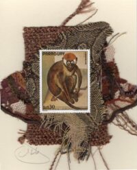 Monkey by P. Bruegel (Paraguay) Card