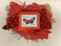 Brown, Yellow & Coral Butterfly (Bolivia) Card