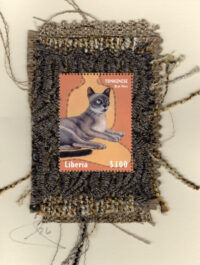 Blue Mink Cat (Liberia) Card