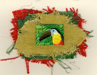 Toucan (France) Card