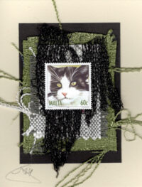 Tuxedo Cat with Green Eyes (Malta) Card