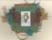 Great Horned Owl (U.S.) Card