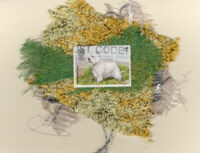 West Highland Terrier (Great Britain) Dog Card
