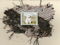 West Highland Terrier (Micronesia) Dog Card