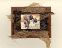 Indian Elephant (India) Card
