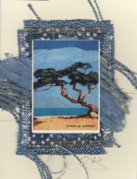 Monterey Cypress Tree (Vintage Label Non-Stamp) Card