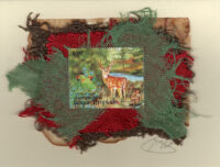 Deer, Cherry Head Parrots & a Rabbit (Mexico) Card