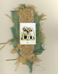 Two White Retriever Puppies (Ireland) Dog Card