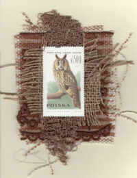 Long-Eared Owl (Poland) Card