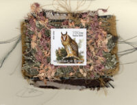 Long-Eared Owl (Rep. de Guinee) Card