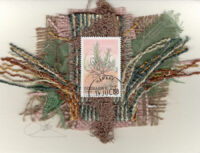 Star Flower Succulent (Zimbabwe) Card