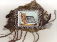 Yorkshire Terrier (Sharjah) Card