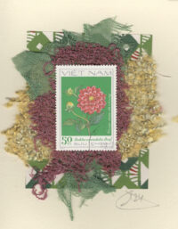 Fuchsia Dahlia Flower (Vietnam) Card