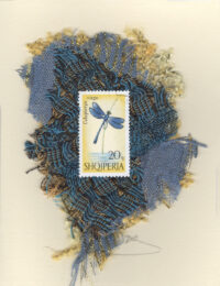 Blue Butterfly (Albania) Card
