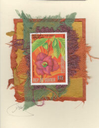 Fuchsia Flower (Guinea Equitorial) Card